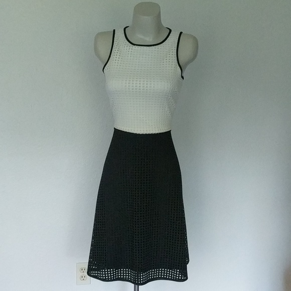 London Times Dresses & Skirts - Two tone, Lazer cut scuba dress London Times Dresses & Skirts - Two tone, Lazer cut scuba dress